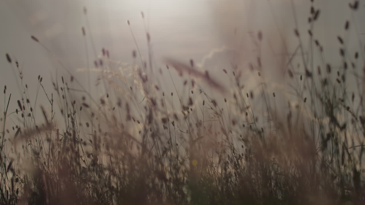 Digital Glitch Effect Appearing on Green Screen