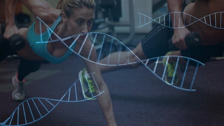 Woman initiating dumbbell row, partner mirroring, holding plank, DNA helix overlay showing fitness