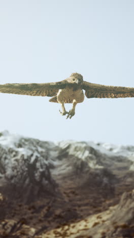 extreme slow motion shot of eagle