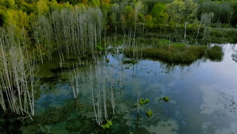 Aerial-footage-at-the-pond-in-autumn,-trees-without-leaves,-bald-stems-of-trees,-colorful-landscape-around,-beautiful-sunset,-warmiaand-masuria,-Poland