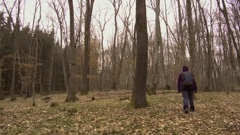 Woman-in-purple-jacket-with-backpack-hiking-through-Hoia-Baciu-forest-in-Romania-in-winter-2