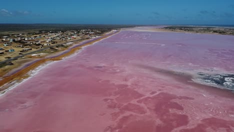 The-incredible-pink-waters-Salinas-de-las-Cumaraguas,-Salt-Flats,-Falcon-State-Venezuela,-aerial-pull