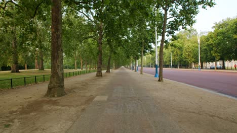 lockdown in london, beautiful rows of trees along the mall and st james park, westminster, during the coronavirus pandemic 2020