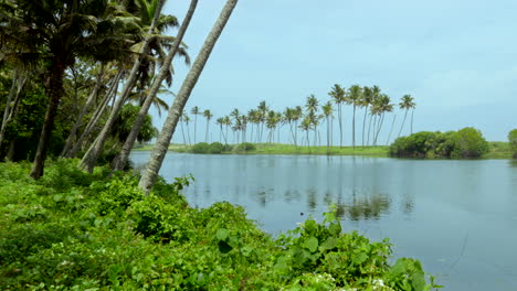 tropical beaches in india kerala with coconut trees and lakes