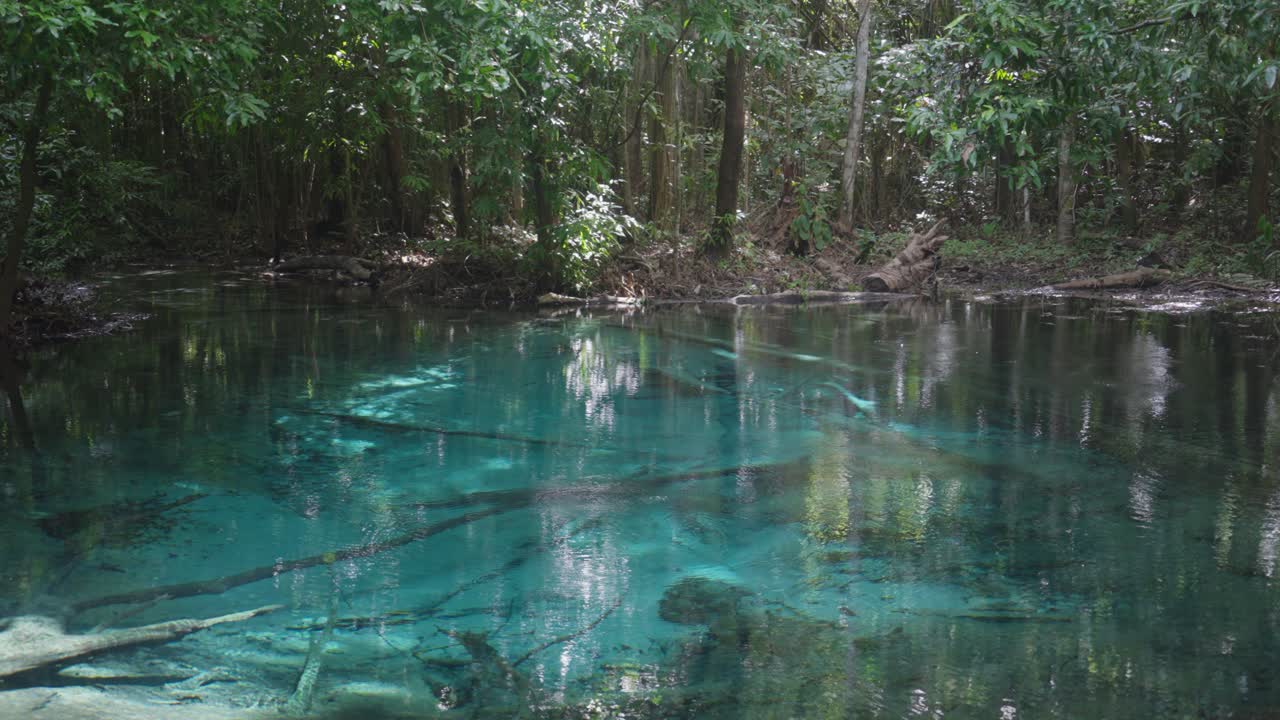Tranquil Lake in Lush Forest