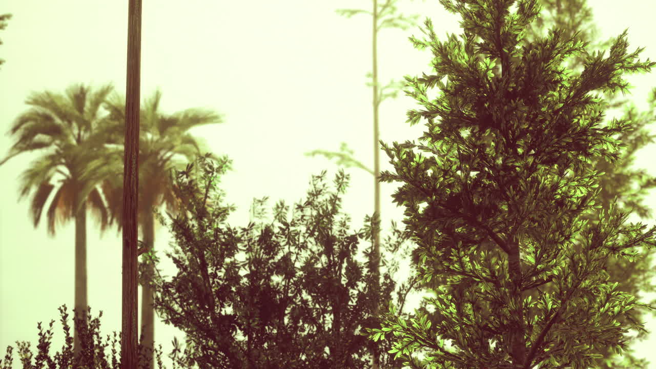 Lush greenery sways gently in the warm breeze under a golden sky