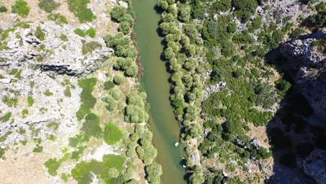 Der-Palmenwald-Von-Vai-Auf-Kreta,-Griechenland