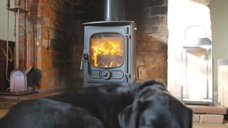 fire stove with black dog lying in foreground