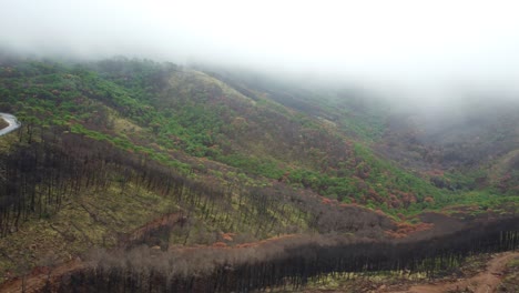 Carretera-Y-Majestuoso-Paisaje-De-Estopana,-España-En-Día-De-Niebla,-Vista-Aérea