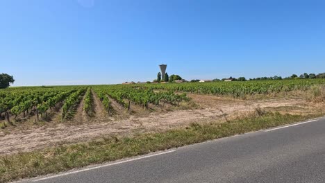 vineyards and road in pauillac, france