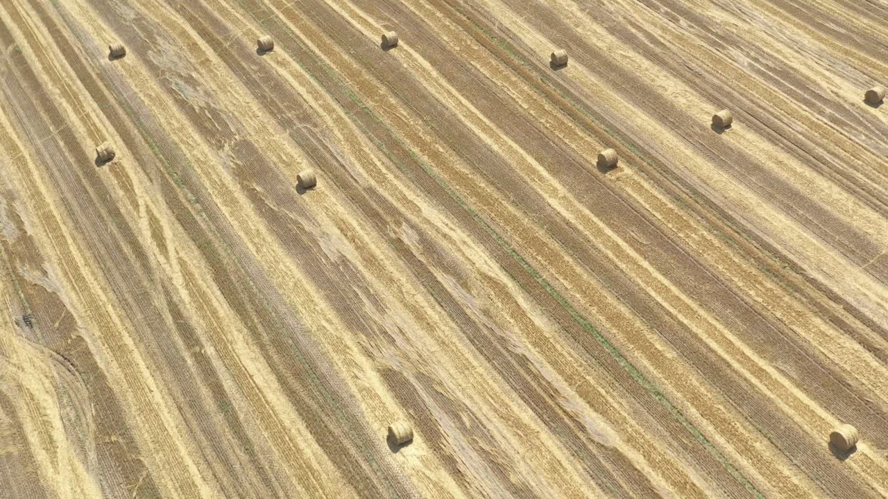 High above harvested wheat crop with round hay bales 4k drone footage