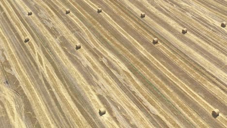 high above harvested wheat crop with round hay bales 4k drone footage