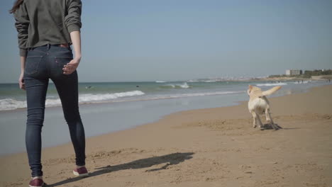 Back-view-of-young-woman-throwing-red-flying-disk-to-dog