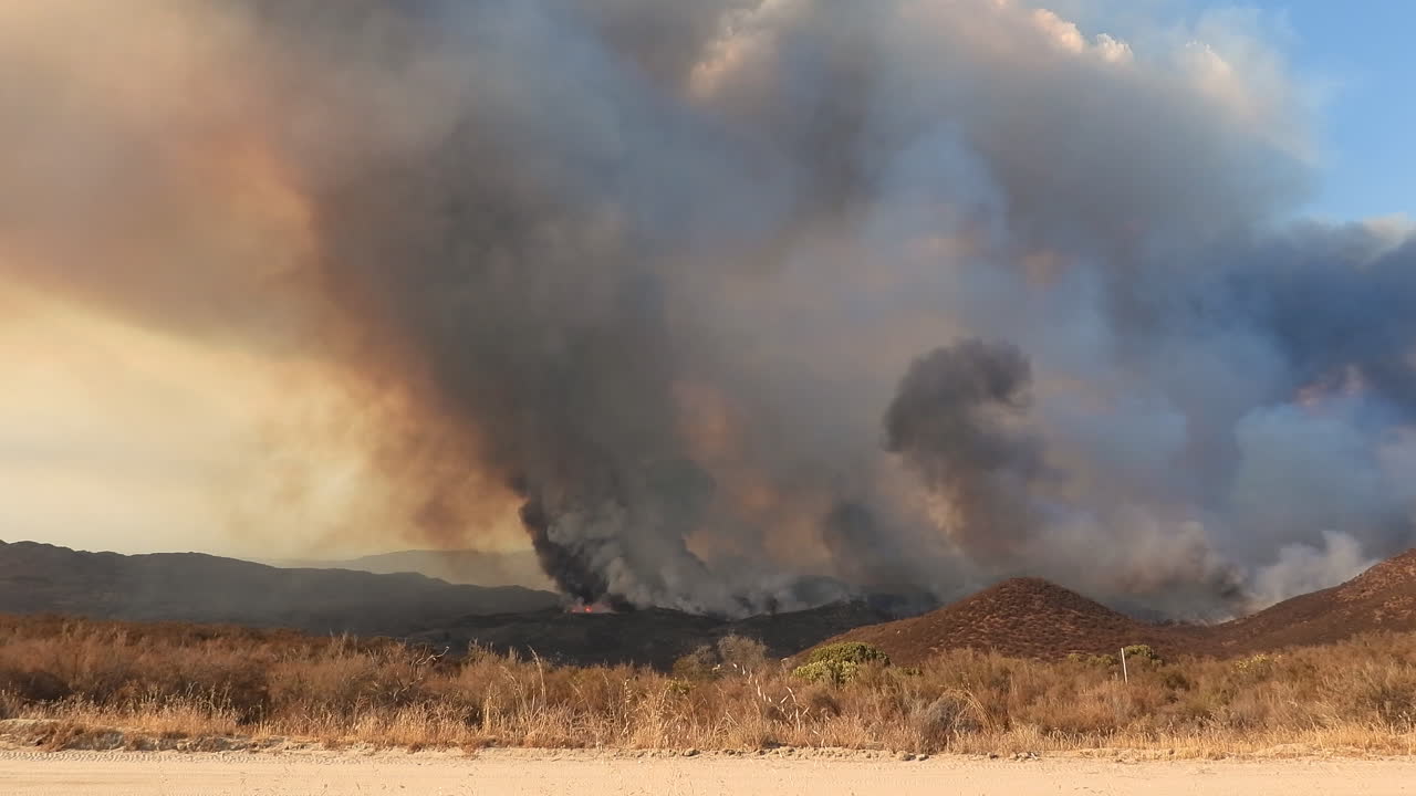 Vista dell'incendio Fairview che si sta rapidamente diffondendo sul fianco della collina, con una nuvola di fumo nell'area in fiamme.