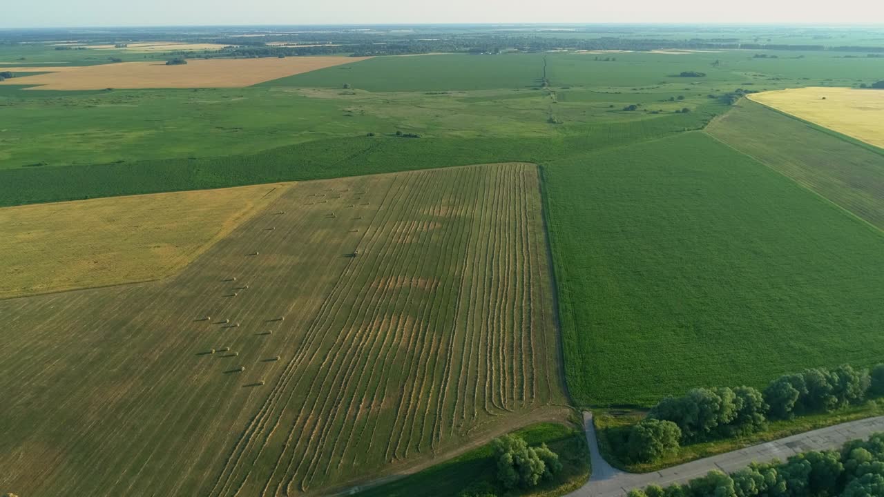 드론은 넓은 을 고 건조한 풀을 수확합니다.