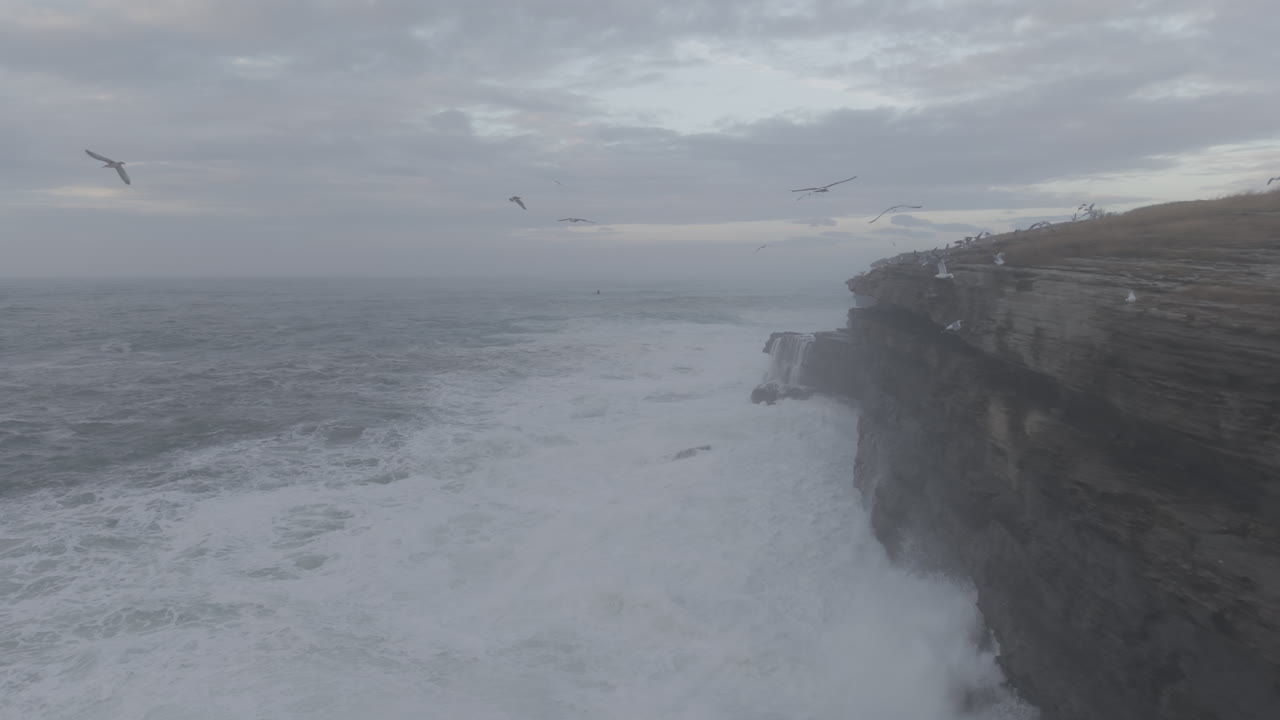 Vista aerea di onde impetuose che si infrangono contro una scogliera rocciosa con gabbiani in volo