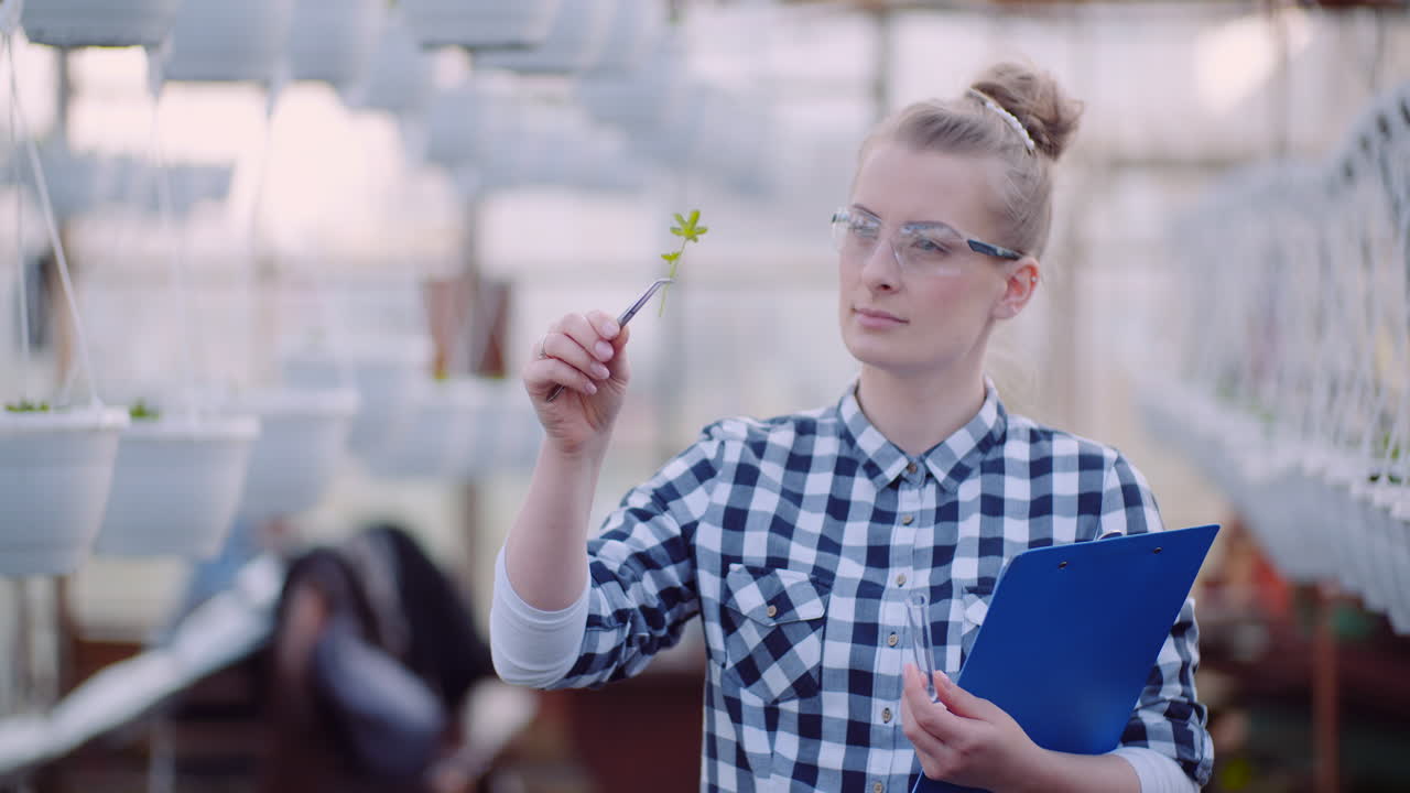 исследователь, анализирующий растения в профессиональной теплице