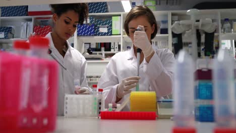 young science students working together with pipettes