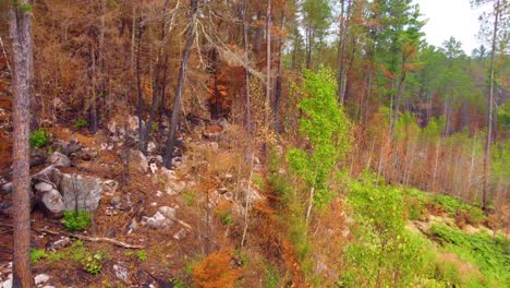 Low-flight-through-devastation-of-Kirkland-Lake-Forest-Fire,-Canada