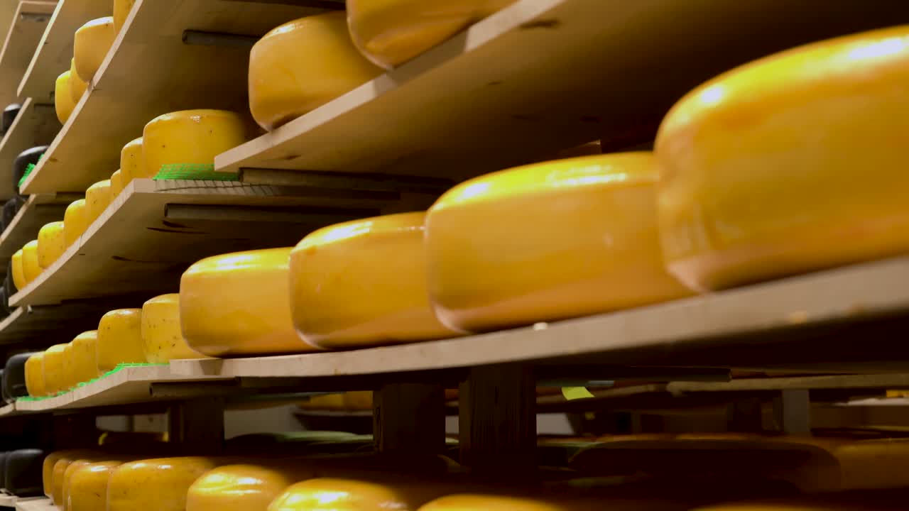 taller de producción de queso en una fábrica lechera