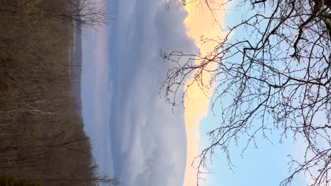 Tree-blowing-in-strong-wind-gusts-with-storm-clouds-in-the-distance-