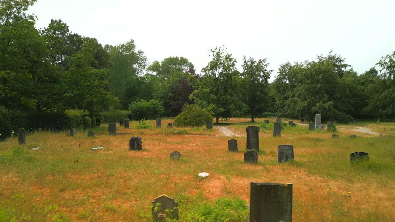Carrellata a destra sopra le tombe in un cimitero nei Paesi Bassi
