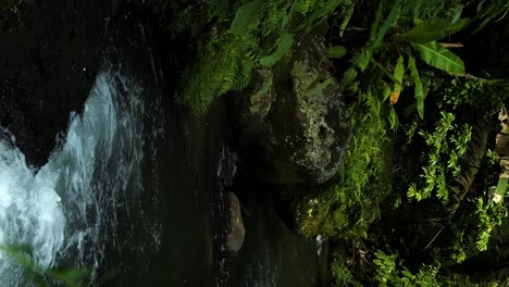 Zeitlupenaufnahme-Eines-Flusses-Mitten-Im-Dschungel-Von-Bali-Mit-Blick-Auf-Einen-Kleinen-Wasserfall,-Die-Pflanzen-Und-Eine-Alte-Steinbrücke-Auf-Einer-Abenteuerlichen-Reise