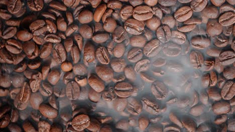 close up of seeds of coffee. fragrant coffee beans are roasted smoke comes from coffee beans.