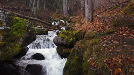 Wasserfall-Am-Falls-Creek,-Der-Im-Spätherbst-In-Der-Nähe-Von-Anchorage-Alaska-Zwischen-Moosbedeckten-Felsbrocken-Im-Chugach-State-Park-Fließt