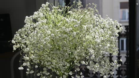 gypsophila graceful on table, white flowers close-up with a blurred background at home. Natural background for design or as texture. Summer plants.