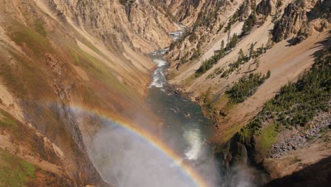 brink of lower yellowstone falls showing river and canyon with rainbow