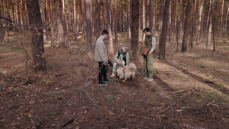 amigos y perro en el bosque