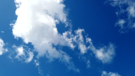 blue sky with white clouds