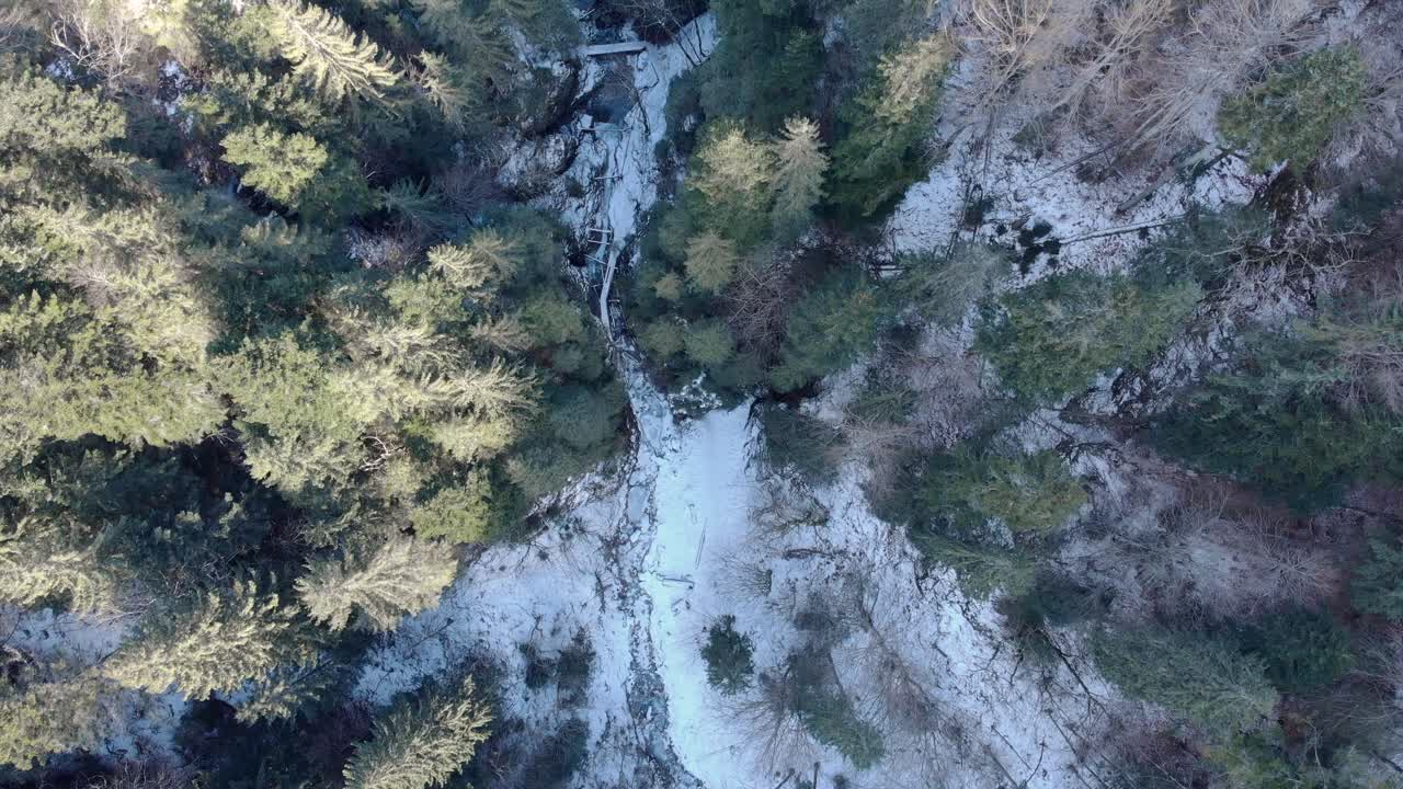 vista aérea del río helado en imponentes montañas con densos abetos durante el invierno