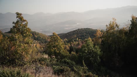 秋天綠色和<unk>色森林,背景是山地風景