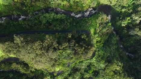 Aerial-top-down-across-winding-road-to-hana-in-tropical-forest-next-to-beautiful-river