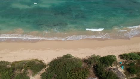 Tiro-De-Drone-Estable-De-La-Costa-Norte-De-Oahu-Hawaii-Con-Cielo-Azul-Turquesa-Océano-Pacífico-Y-Palmeras-Y-Olas-Ondulantes-En-Arena-Blanca