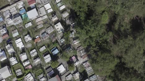 cementerio viejo en el ciruelo oaxaca, en la zona afrodescendiente en mexico