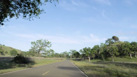 Ultra-slow-motion-shot-from-car-driving-on-road-through-beautiful-park-on-sunny-day-in-California