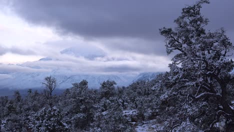 Disparo-De-Lapso-De-Tiempo-De-árboles-Cubiertos-De-Nieve-Y-El-Paisaje-En-Las-Montañas-De-Sierra-Nevada,-Sierras-Cerca-Del-Monte-Whitney-California