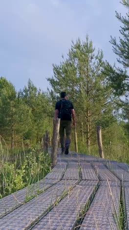 man hiking on a wooden boardwalk trail through a forest