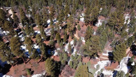 toma aérea de una cordillera nevada de grandes osos en primavera