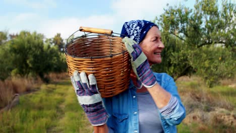 happy woman walking with basket 4k