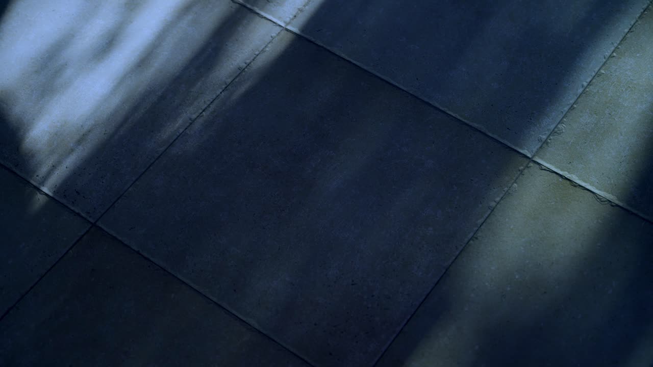 Blue moon light shadows reflecting on house or apartment tile floor at night. Dappled light from natural element like tree or bush outside moving in wind. Cold dark night. Indoor defocused pattern