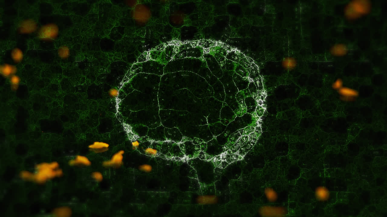 animación del cerebro humano sobre rocas que se mueven sobre un fondo negro