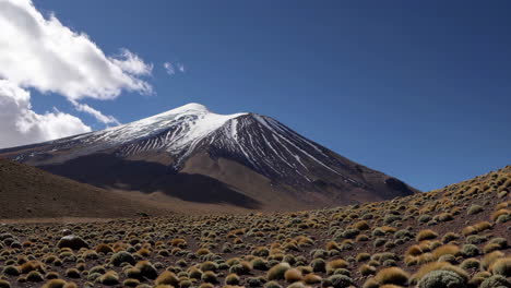 snow-capped volcano in a vast arid landscape
