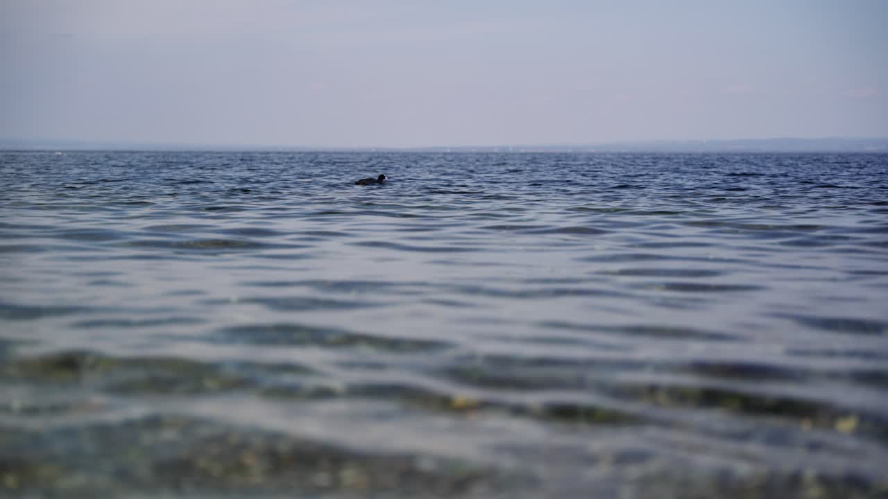 자갈 해변의 작은 파도