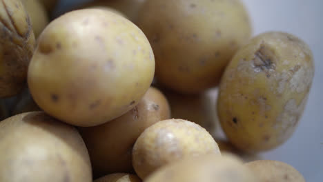 Haufen-Bio-Kartoffeln-Frisch-Vom-Bauernhof-Geerntet.-Selektive-Fokusaufnahme