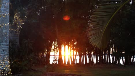 Sunset-behind-line-of-trees-with-rays-of-sunlight-coming-through-trees