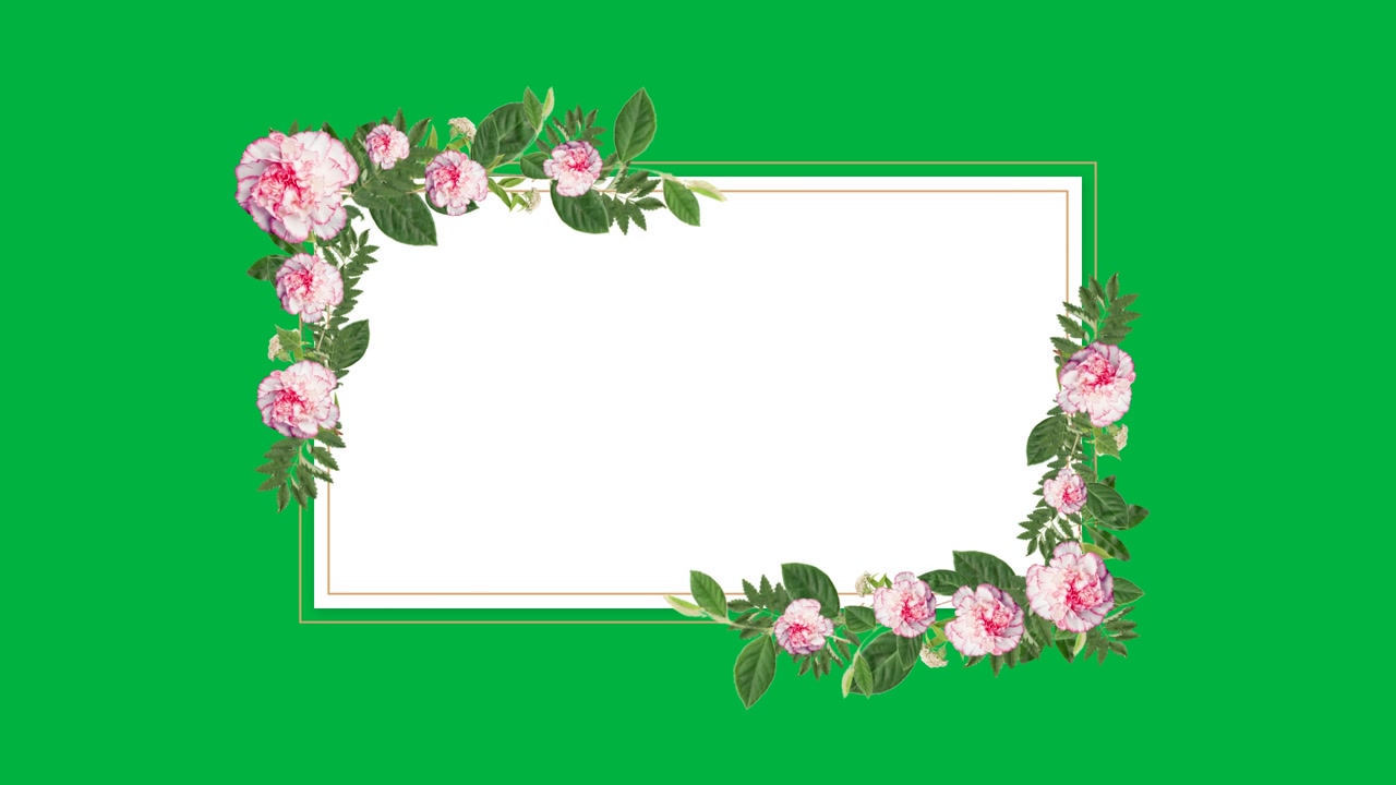 Animated Floral Frame with Pink Peonies on Green Screen